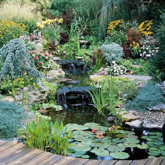 Meet your Posher, Lily 💕 - Picture 1 of 1